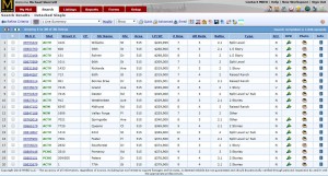 Custom ConnectMLS Search Results
